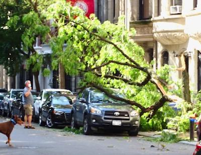 isaias storm nyc damage from isaias storm in nyc