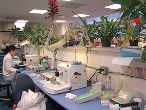 medical lab queens ny