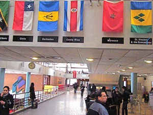 york college ethnic mix