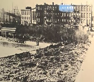 queensbridge housing projects near hotels dutch kills