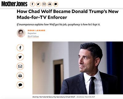 trump nazis hitler use of police vis a vis trump use of dept of homeland security as national police force nazis trump comparison of trump use of dhs to hitlers use of gestapo