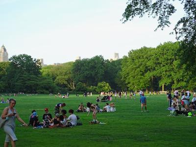 things to do this weekend in nyc things to do in manhattan brooklyn. queens bronx staten island nyc things to do over the weekend nyc