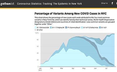 covid pandemic nyc delta variant covid in nyc brooklyn bronx staten island queens manhattan covid nyc