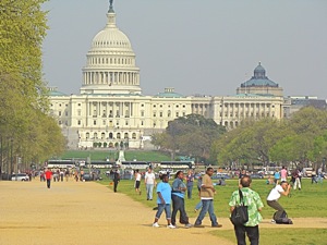 capitol washington dc photo