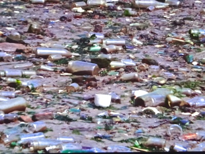 garbage bay jamaica bay photos